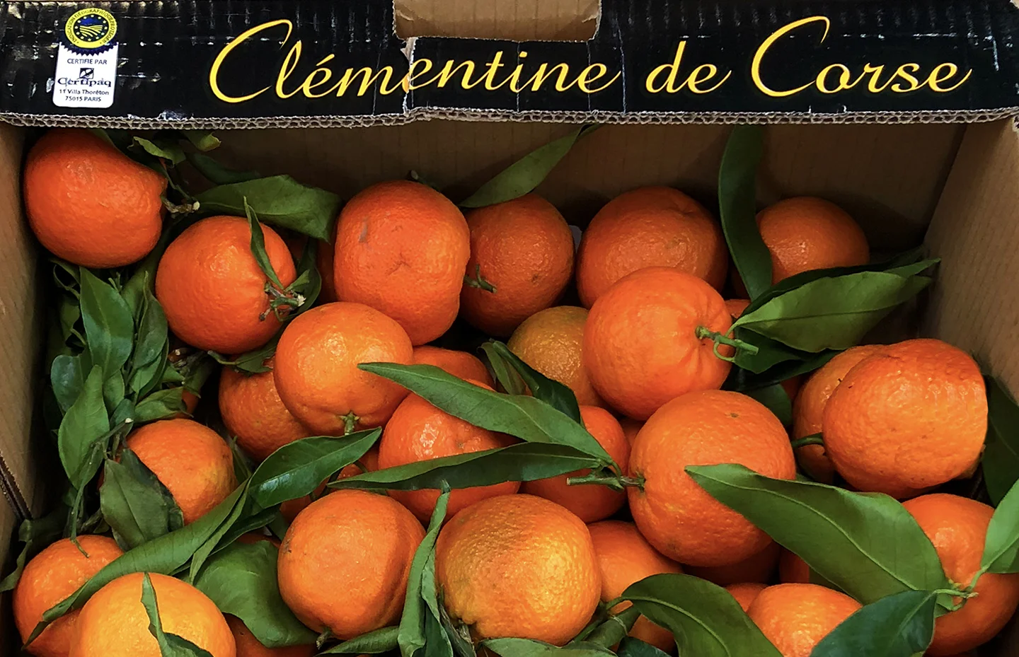 DARLING CLEMENTINE — Moments Parfaits